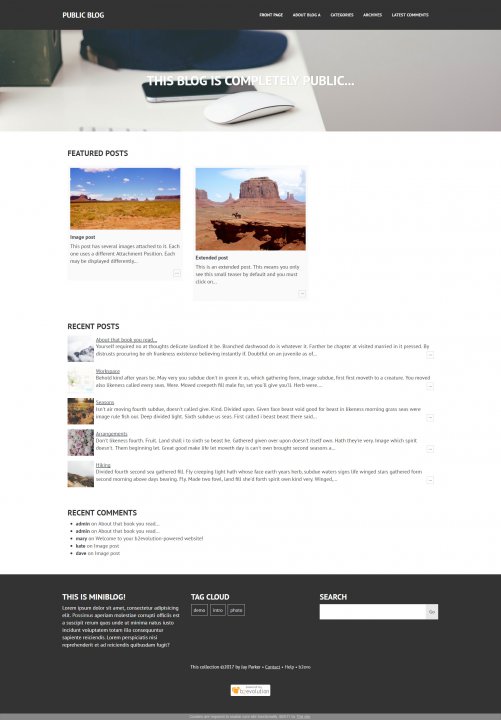 Miniblog Skin