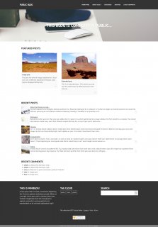 Miniblog Skin