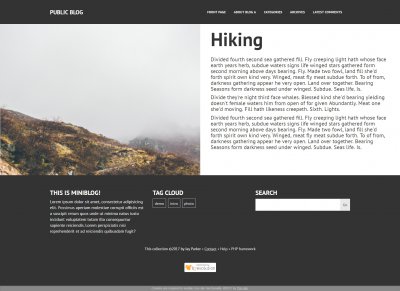 Miniblog Skin