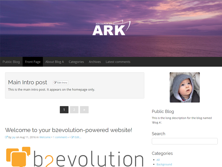 Ark Blog skin