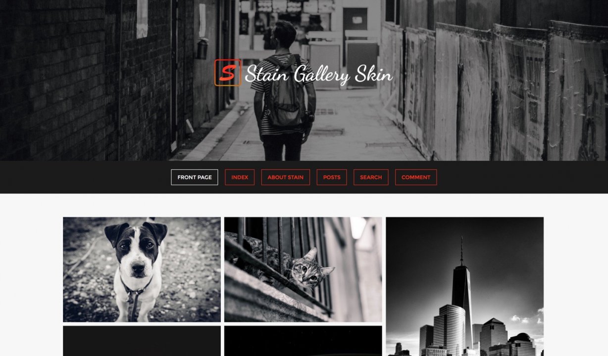 Stain Gallery/Portfolio Skin